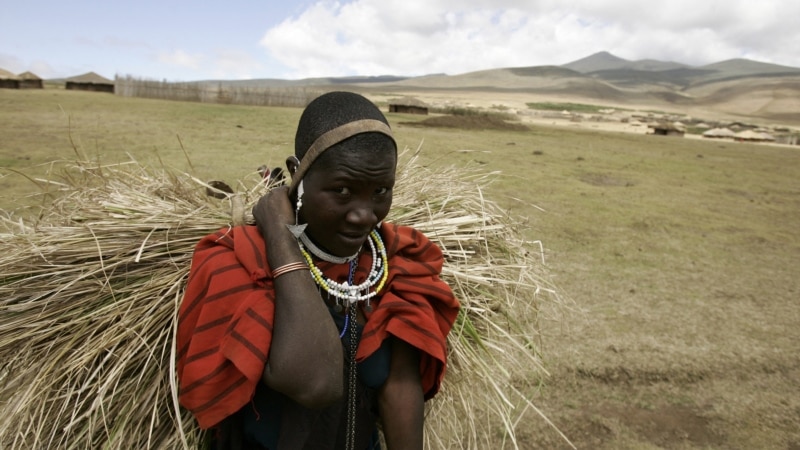 En Tanzanie, les Massaïs partagés sur leur possible expulsion de la réserve de Ngorongoro