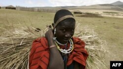 Des Massaï portent plainte contre le gouvernement tanzanien,