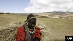FILE: A Massai woman walks in the Ngorongoro Conservation Area, northern Tanzania, 26 August 2007. The Ngorongoro Conservation Area (NCA) is a conservation area situated 180 kms west of Arusha in the Crater Highlands area of Tanzania.