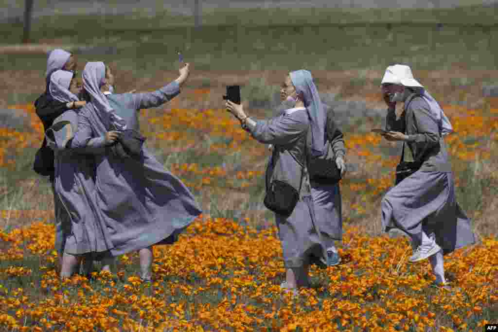 Visitors take selfies in a field of poppies and other wildflowers outside of the Antelope Valley California Poppy Reserve near Lancaster, April 2, 2022.