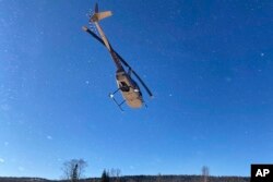 A helicopter lifts off in Grand Portage, Minn., carrying Seth Moore, director of biology and environment for the Grand Portage Band of Lake Superior Chippewa, and a team from the wildlife capture company Heliwild.