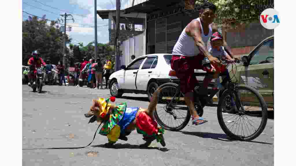 Un historiador comenta que la tradición surgió en honor a los indígenas que habitan en la localidad de Monimbó.