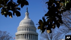Zdanje Kongresa u američkoj prestonici Vašingtonu (Foto: AP/Patrick Semansky)