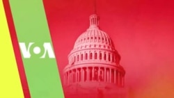 Livetalk, The Connection, Mbimbitho 15, 2022: Sixoxa Ngokhetho Oluzayo Olwama By-elections
