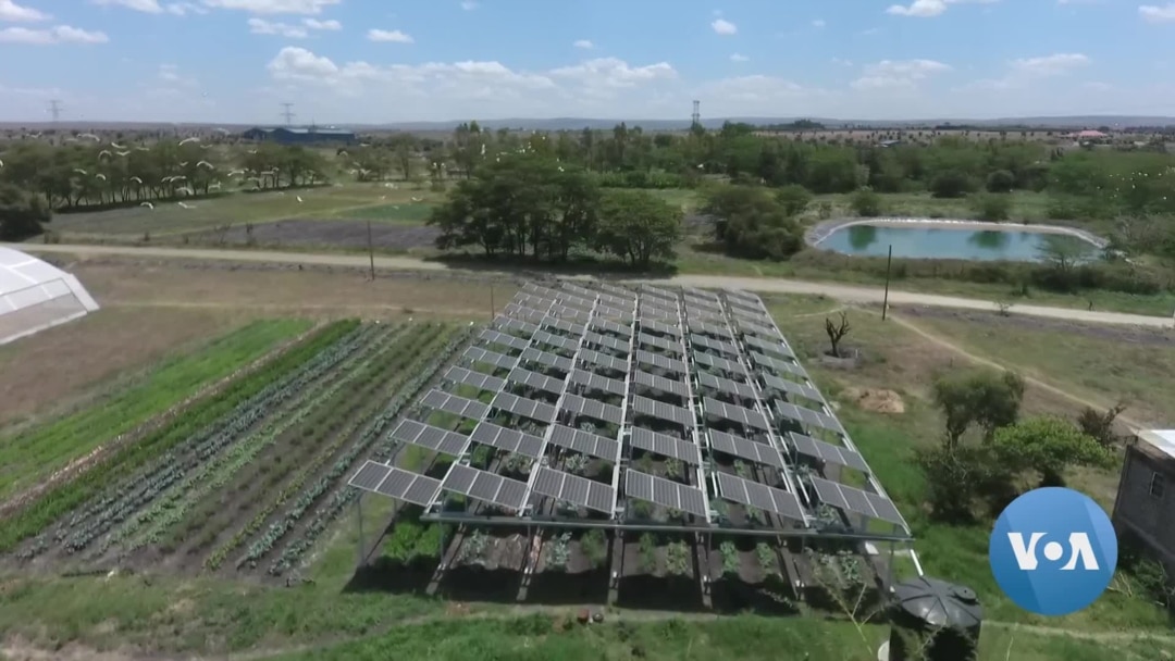 Solar Panel Technology Boosts Yields for Farmers in Kenya￼