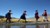 ARCHIVO - Indígenas aymaras caminan por los manantiales de Silala, en el departamento de Potosí, suroeste de Bolivia, a 4 kilómetros de la frontera con Chile, el 29 de marzo de 2016.