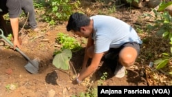 This food forest in the grounds of a school in Mumbai has been planted by 'The Turning Tide', a voluntary environmental group in Mumbai to compensate for the city's disappearing green cover. 