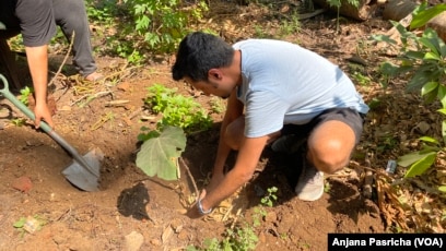 father and son digging ground in forest with shovels, ecology