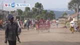 Farafina gun kibaruyaw Sanga Kelen kɔnɔ