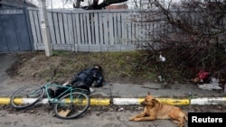 Pas leži pored tijela civila, kojeg su prema riječima stanovnika, ubili ruski vojnici u Buči, u regiji Kijev, Ukrajina, 3. aprila 2022.