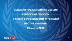 Седьмое экстренное заседание Генассамблеи ООН по ситуации вокруг Украины