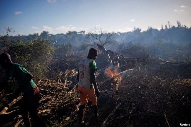 Felix Fitiavantsoa, 20, and his brother start a fire in a wooded area in order to start cultivating it, in the Tsihombe commune, Androy region, Madagascar, February 13, 2022. (REUTERS/Alkis Konstantinidis )