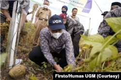 Rektor UGM, Prof Panut Mulyono mendorong kerja sama semua pihak untuk meningkatkan produksi kedelai. (Foto: Firsto/Humas UGM)