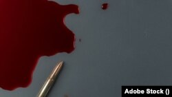 প্রতীকী ছবি