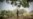 Gunmen Kill 34 in Northwest Nigeria, Official Says