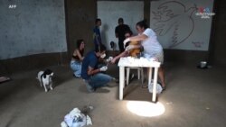 Կամավորների կողմից նվիրաբերված մարդկային արյունով կոլումբիացի նկարիչ Ջուլիան Կաստիլյոն, ի նշան բռնության մերժման