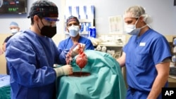 جریان عملیات پیوند قلب خوک به بدن انسان به تاریخ هفتم جنوری در شفاخانۀ پوهنتون مریلند