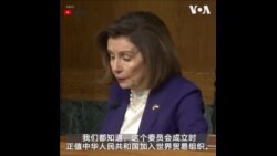 佩洛西：将贸易和人权脱钩并不能改善美中贸易关系 
