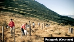 Los empleados patagónicos quitan una cerca de una antigua granja de ovejas en la región patagónica de Chile que ahora es un parque nacional.  (Foto cortesía de Patagonia)