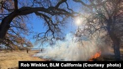 View of a Bureau of Land Management controlled burn in the Paynes Creek Wetlands portion of the Sacramento River Bend in California.