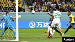 Senegal's Kalidou Koulibaly scores the second goal for Senegal against Ecuador at the 2022 FIFA World Cup, Qatar, November 29, 2022