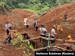 Tim SAR menggunakan anjing pelacak untuk mencari korban saat operasi penyelamatan di wilayah terdampak longsor pascagempa di Cianjur, Jawa Barat, 24 November 2022. (Foto: REUTERS/Stefanno Sulaiman)