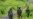 UN Revises Toll From DR Congo's Kishishe Massacre to 171