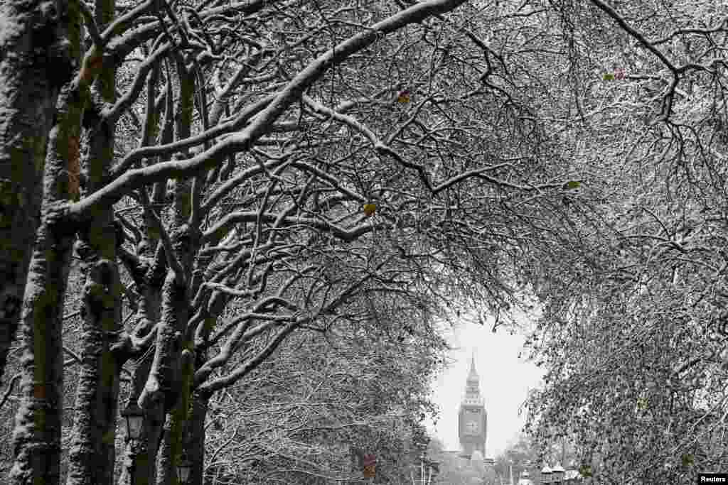 Árboles cubiertos de nieve frente a la Torre Elizabeth, mejor conocida como Big Ben, mientras continúa el frío, en Londres, Gran Bretaña. REUTERS/Toby Melville.