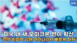 “미국 내 새 오미크론 변이 확산”
“백신 면역 회피력 강해 전세계 확진 급증”
