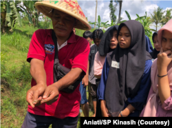 Anak-anak muda berlatih memahami tanaman, gulma, hama, hingga perubahan iklim dalam perkemahan anak muda untuk pertanian. (Foto: Courtesy/Aniati/SP Kinasih)