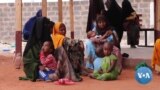 Kenya Says Nearly a Million Children Are Acutely Malnourished