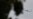 Bolsonaro Departs Brazil for Florida, Avoiding Lula Handover