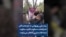 برادر علی روزبهانی، از کشته‌شدگان اعتراضات: «سکوت نکنید، سکوت شما طناب‌دار بی‌گناهان می‌شود»