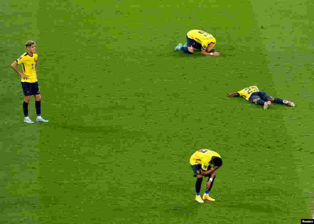 Ecuador players react after being eliminated from play following a match against Senegal, at the 2022 FIFA World Cup at Khalifa International Stadium in Doha, Qatar.