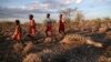 Kenya Drought Kills Hundreds of Wild Animals
