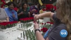 Beneath Rose Parade's Blossoms and Bling, Some Lifesaving Causes
