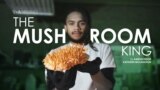 The Mushroom King 