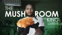 Preview: The Mushroom King