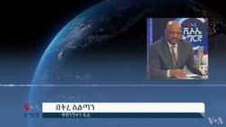 ንዋዕላ ትንሳኤ ህዝቢታት ትግራይን ኤርትራ ኣብ ሎንደን ዝምልከት 