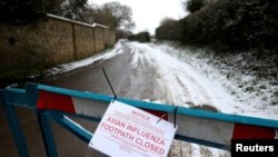 Sebuah poster peringatan bahaya flu burung terpasang pada penutup jalan yang mengarah ke sebuah peternakan di Upham, Inggris, pada 3 Februari 2015. (Foto: Reuters/Peter Nicholls)