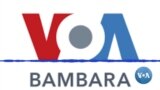 VOA Bambara Jemukan kren kren ne