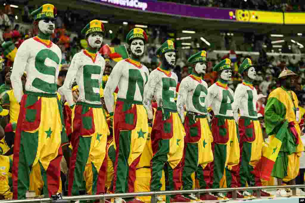 Para pendukung timnas Senegal menunggu dimulainya pertandingan sepak bola grup A Piala Dunia antara Senegal melawan Belanda di Stadion Al Thumama, di Doha, Qatar.