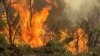 آتش‌سوزی جنگل‌های هیرکانی در رودبار با گذشت پنج روز ادامه دارد