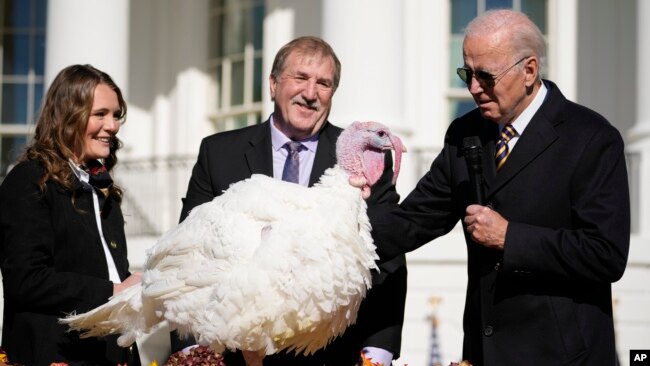 President Joe Biden pardons Chocolate, the National Thanksgiving Turkey, at the White House in Washington, Nov. 21, 2022. Biden also pardoned a turkey named Chip, but Chocolate was named the national turkey.