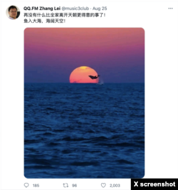 2022年8月25日这天，润出中国的张雷一连发了15条推文。 （网络截图）