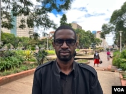 Gibson Nyikadzino, an independent analyst, is seen in Harare in March 2022. (Columbus Mavhunga/VOA)