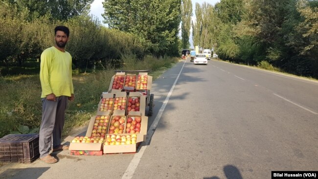 An apple grower selling his produce on a road side on Srinagar-Baramulla highway.