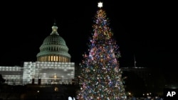 Pohon Natal Capitol AS terlihat setelah upacara penyalaan, Selasa, 29 November 2022, di Front Barat Capitol di Washington. (Foto: AP/Jacquelyn Martin)