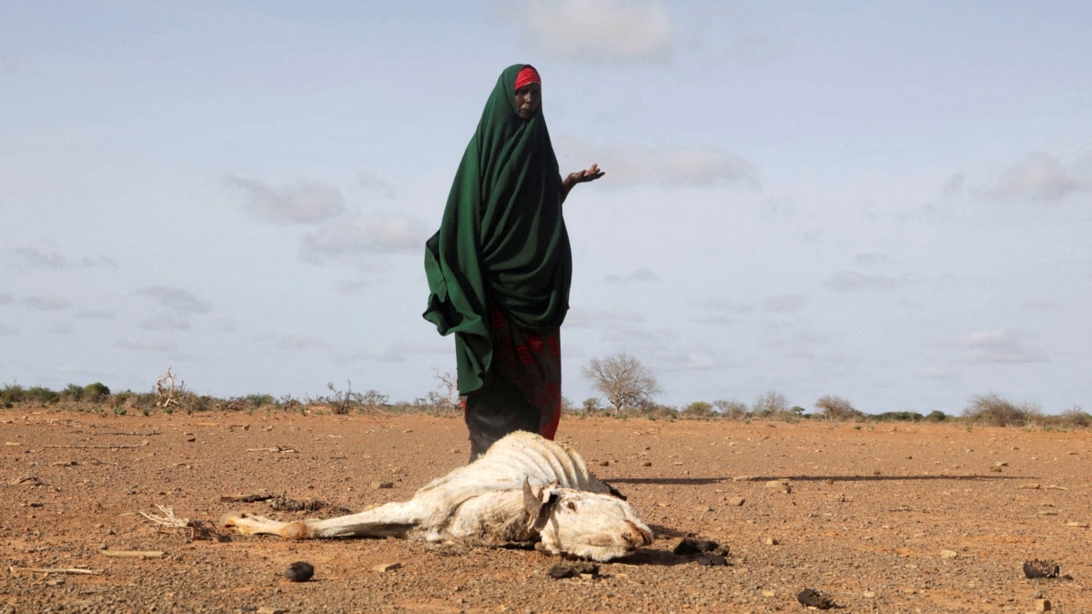 Somalia Must Strengthen Resilience Against Climate Shocks   09410000 0a00 0242 7357 08daddf98183 Cx0 Cy8 Cw0 W1200 R1 