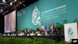The head table gets set to open the high level segment at the COP15 biodiversity conference, in Montreal, Thursday, Dec. 15, 2022. (Ryan Remiorz/The Canadian Press via AP)